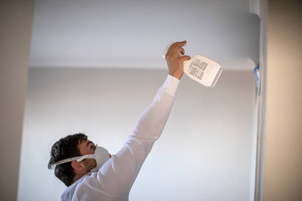 Best Mold Remediation  in Zebulon, NC