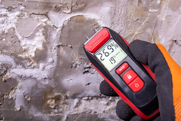 Mold Removal Process in Zebulon, NC
