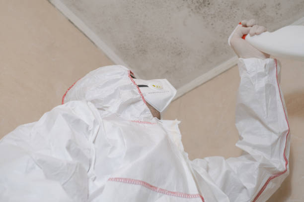 Best Office Mold Removal Services  in Zebulon, NC